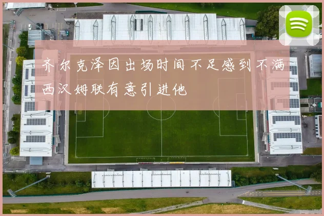 齐尔克泽因出场时间不足感到不满西汉姆联有意引进他